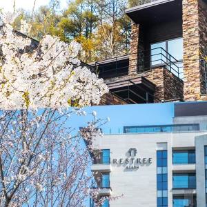 2026 숙박세일페스타 포레스트/레스트리 리솜 2인 스파패키지