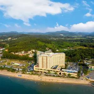 [보령] 비체팰리스 숙박세일페스타 (객실+피자 세트or치맥 세트+할인권)