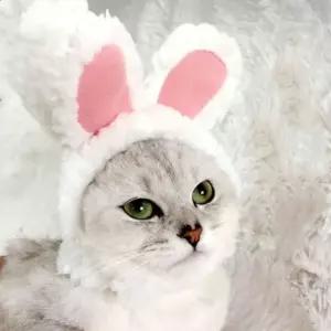 애완 강아지 토끼귀 장식품 모자 고양이 애견 토끼귀모자 토끼귀장식품 애완코스프레