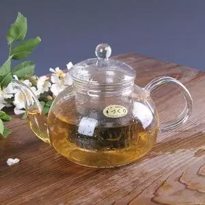 [콩심팥심]유리티포트 다도구 티팟 유리다기 내열유리주전자