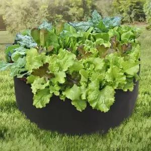 초록가든 베란다 텃밭 부직포 화분가방 미니소형 가벼운화분