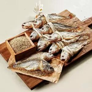 영광 법성포 보리굴비 10미(27~29cm)