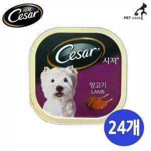 애견용품 시저캔 강아지 양고기 1박스 통조림 24개