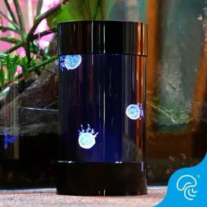 해파리 키우기 관상어 어항 미니 인테리어 수족관 물고기 무드등 금붕어 애