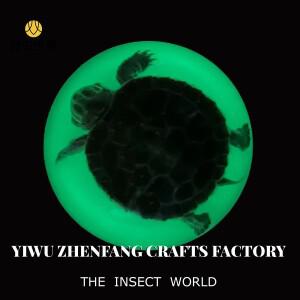 빛나는 거북이, 곤충 표본: 자연의 작은 생물들의 매혹적인 전시