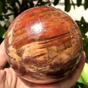 1개 석화목 돌 구체, 목재 화석 가정 및 사무실 장식에 적합, 크리스마스, 어머니의 날 선물로 이상적