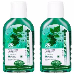 덴티스테 내츄럴 오랄린스 100ml 6개