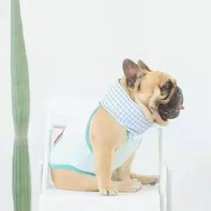 강아지 쿨목도리 쿨스카프 냉각패드 애견용품 펫용품 머플러