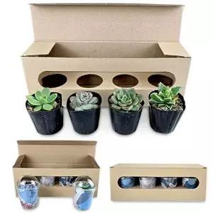 [골드스마일]사무실 다육 모둠 식물 세트 작은 책상 식물재배세트 책상다육이