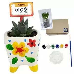 다육 페인팅 도자기 채색 화분 꾸미기 만들기 식물재배세트