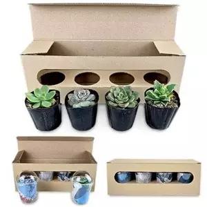 사무실 다육 모둠 식물 세트 작은 책상 식물재배세트 책상다육이