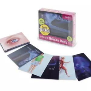 가베가족 러닝리소스 무빙 카드 인체 탐구 과학 학습