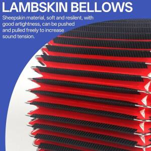 아코디언 22 위한 스위트 스트랩과 아줄 악기 초보 패딩 있는 교육용 아테돌로스 전문가를 아코디언 베이스 성인 피아노 백이 파라 사운드 아코디언스 아테돌도