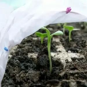 부직포 식물 보호 커버 월동 식물 방한 덮개 겨울 텃밭