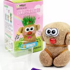 표정 변화 식물 인형 1p 어린이 감정 표현 학습 교구 실내 원예 놀이 감성