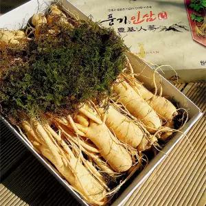 풍기인삼 6년근 750g 원수삼(8~9뿌리)