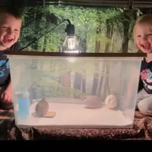 (X6 동물부화-사육용히터) 45리터 병아리육추기.메추리육추기