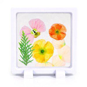 [기타]투명 압화 액자 만들기