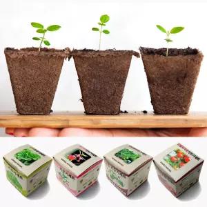 [문구티쳐] 지피포트 키우기세트 4종 친환경화분 diy 식물키우기 관찰일기 새싹 키우기