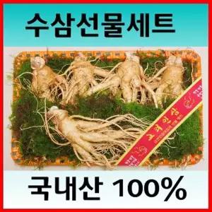 (난55호선물셋트) 5-6뿌리 백화점용 금산 산지직송