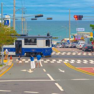[부산]해운대 블루라인파크 해변열차 이용권