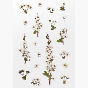 압화스티커 조팝나무 팬시 다꾸 폰꾸 꽃 스티커 책갈피 북마크 꾸미기 재료