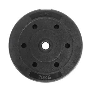 플렉스 원판 20kg 1개입 덤벨 홈짐 홈트