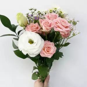 오후의 꽃 정기구독 생화택배 꽃배달 싼곳 양재꽃시장