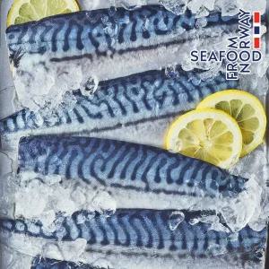 가시제거99% 무뼈 노르웨이 고등어 아기생선 800g대(5-7편)