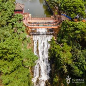 [KTX-당일]제천시티① 의림지+청풍호반케이블카+힐링족욕체험