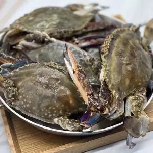 국내산 급냉 선동 꽃게 1kg