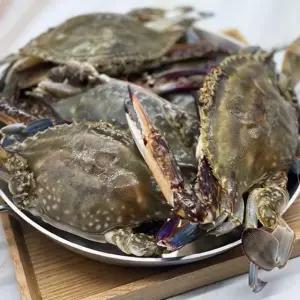 국내산 급냉 선동 꽃게 1kg