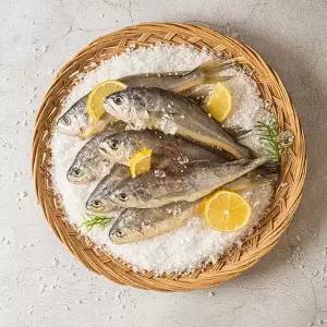 새담 법성포 영광굴비 1.5kg(20미)