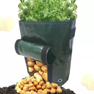 베란다 감자 고구마 키우기 부직포 화분/학교/학생/교사/과학/키우기/심기/반려/식물/채소/재배/키트/체험