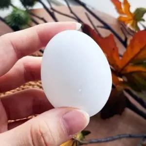 모형달걀 조류알모형 모형계란 알모형 모조계란 계란모형 계란꾸미기 부활절