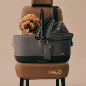 [타보펫츠] 매브 유모차 ISO 윈드 6X