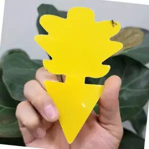 식물 해충 퇴치 트랩 노란색 끈끈이 포충기 화분 벌레 잡는 원예 용품 실내