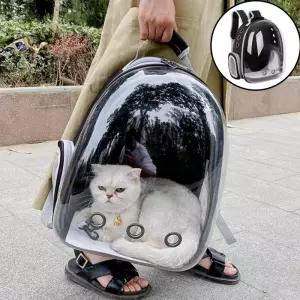 반려동물 투명 이동가방 강아지 고양이 백팩 캐리어