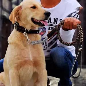 [반려] 목걸이 가죽 브라운 M 대형견리드줄