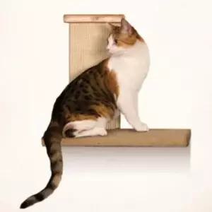 고양이스크래쳐 고양이 캣타워 장난감 놀이 기구 클라이머 스크래쳐