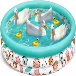 3 링 애완 오리 수영장 48X12 인치 풍선