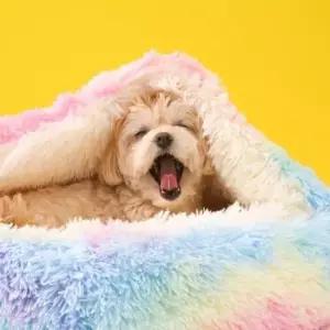 고양이방석 강아지 고양이 마약방석 숨숨집 대형L(100cm)