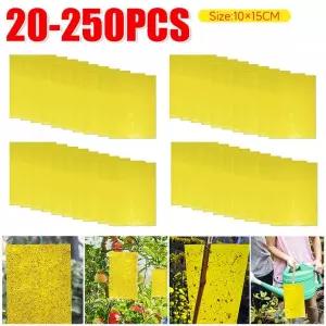 초파리트랩 야외 식물 곤충 캐처 플라이 스티커 트랩 벌레용 양면 모기 보드 20-200 개