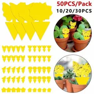 초파리트랩 곤충 트랩 옐로우 보드 식물 해충 방제 플라이캐처 스티커 화분 원예 50개 30개 20개 10개
