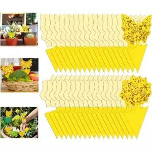 초파리트랩 50팩 곰팡이 파리 트랩 실내용 과일 날으는 곤충 야외용 식물 보호용 끈끈이