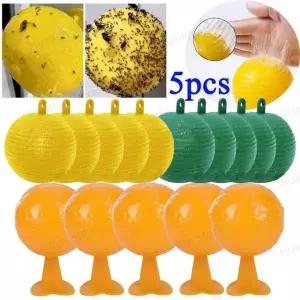 초파리트랩 5개입 볼 과일 파리 포획기 해충 방제 스티키 트랩 8cm 벌벌레 곤충 실내외 주방 식물용 8CM