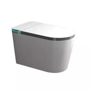 비데 일체형 변기 직수형 탱크리스 교체 카페 노필터 도기 자동 욕실 펜션 호텔