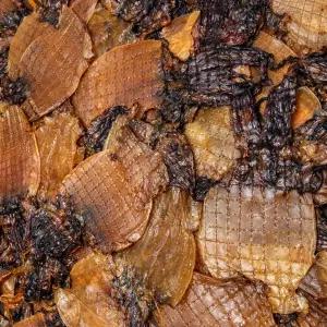 [굿수산] 조미오징어 오쫄포 200g (6∼12미) 2팩