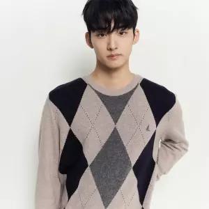 매장정품 BEANPOLE 빈폴 [빈폴] 아가일 니트 베이지 (BC5951C34A) 1417385