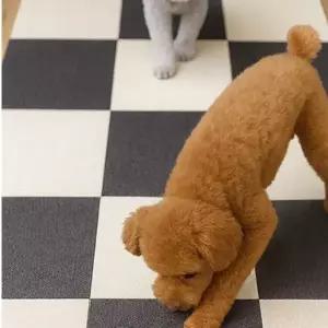 매트 바닥 장판 셀프 인테리어 타일 카페트 12장